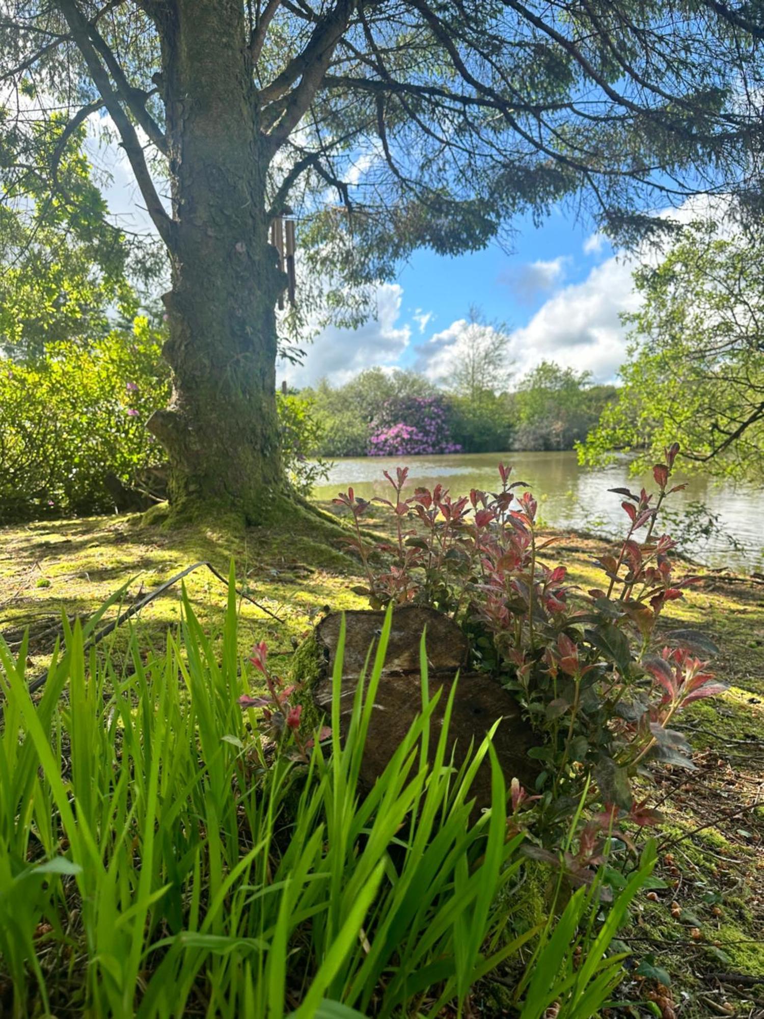 Lakeside Glamping Firecrest 大圣科勒姆 外观 照片