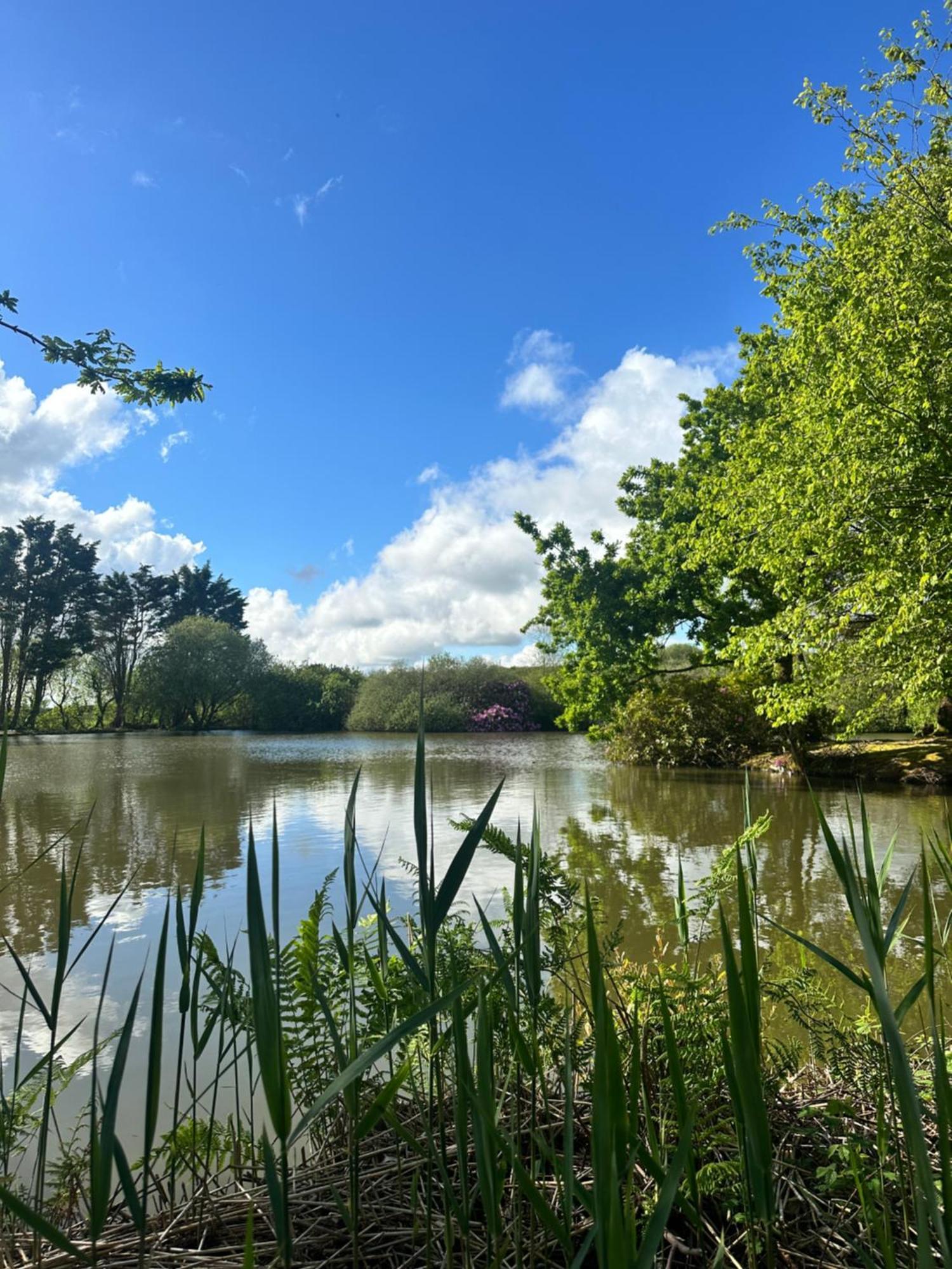 Lakeside Glamping Firecrest 大圣科勒姆 外观 照片