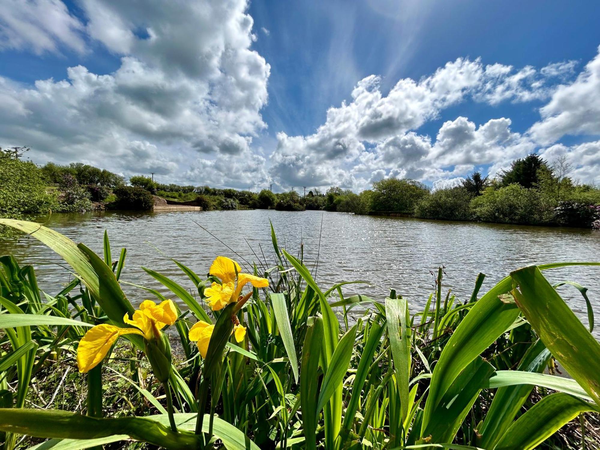 Lakeside Glamping Firecrest 大圣科勒姆 外观 照片